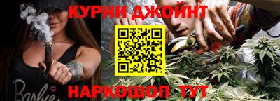 мдпв Бийск