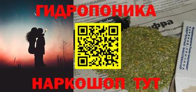 мдпв Бийск