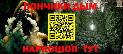 мдпв Бийск