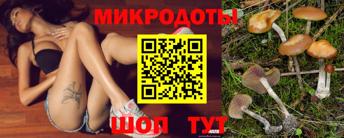 Псилоцибиновые грибы мицелий Канаш