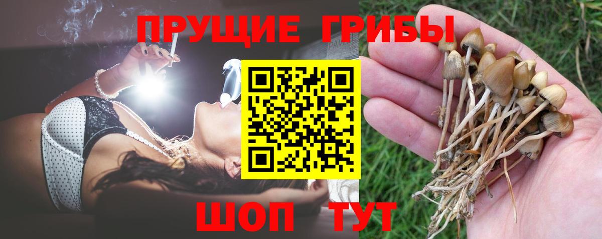 что такое   Галлюциногенные грибы Magic Shrooms  Вход с VPN  Галлюциногенные грибы GOLDEN TEACHER  Канаш 
